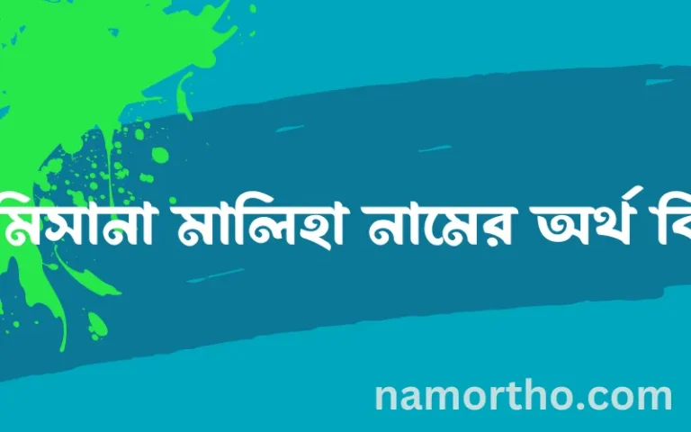 রামিসানা মালিহা নামের বাংলা আরবি ইসলামিক অর্থ কি?