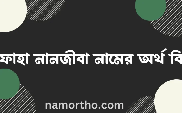 রিফাহা নানজীবা নামের অর্থ কি? রিফাহা নানজীবা নামের বাংলা, আরবি/ইসলামিক অর্থসমূহ