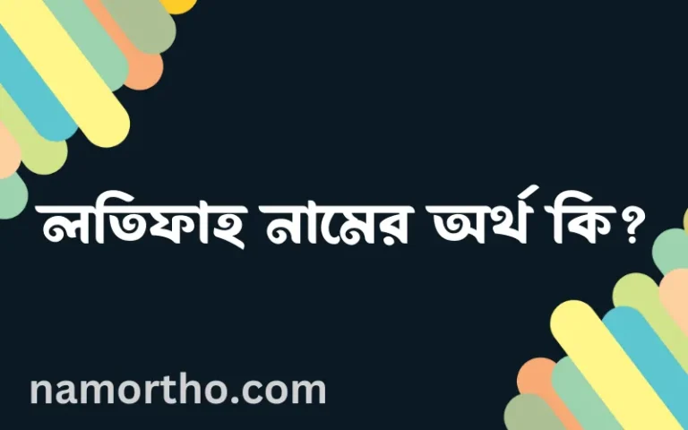 লতিফাহ নামের অর্থ কি? লতিফাহ নামের বাংলা, আরবি/ইসলামিক অর্থসমূহ