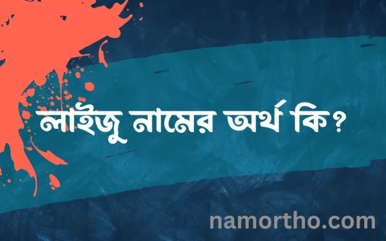 লাইজু নামের অর্থ কি এবং ইসলাম কি বলে? (বিস্তারিত)