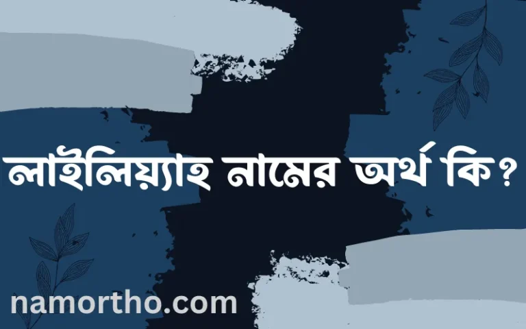 লাইলিয়্যাহ নামের অর্থ কি? লাইলিয়্যাহ নামের বাংলা, আরবি/ইসলামিক অর্থসমূহ