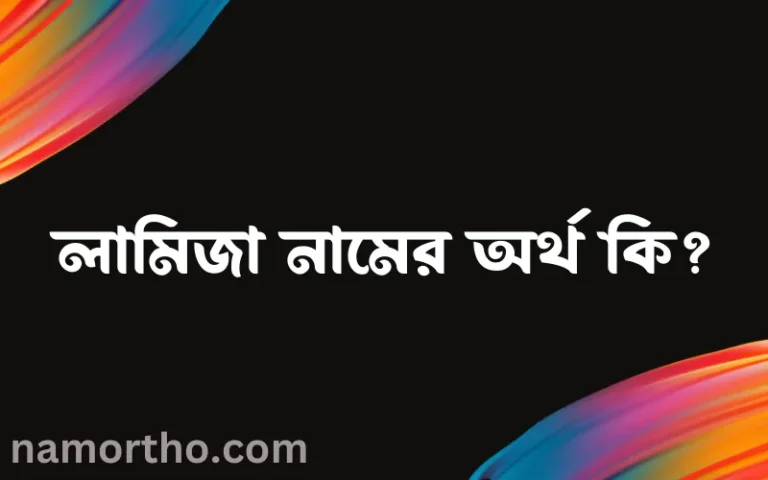 লামিজা নামের অর্থ কি? লামিজা নামের বাংলা, আরবি/ইসলামিক অর্থসমূহ