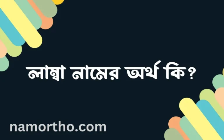 লাম্বা নামের অর্থ কি? লাম্বা নামের বাংলা, আরবি/ইসলামিক অর্থসমূহ
