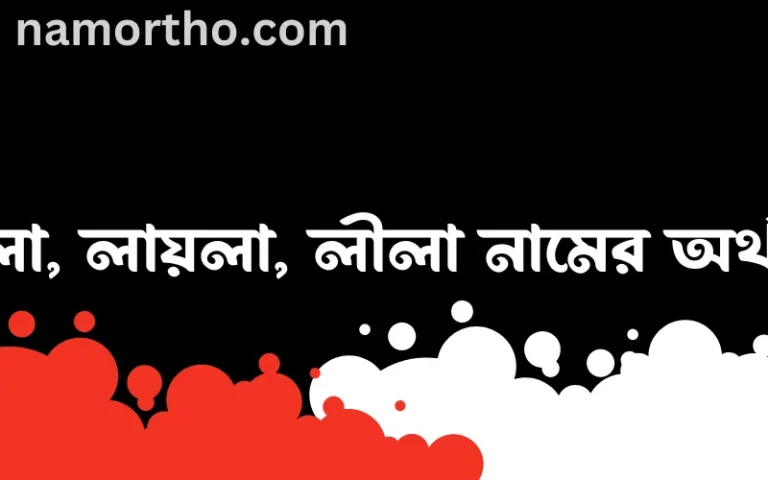 লায়লা, লায়লা, লীলা নামের বাংলা আরবি ইসলামিক অর্থ কি?