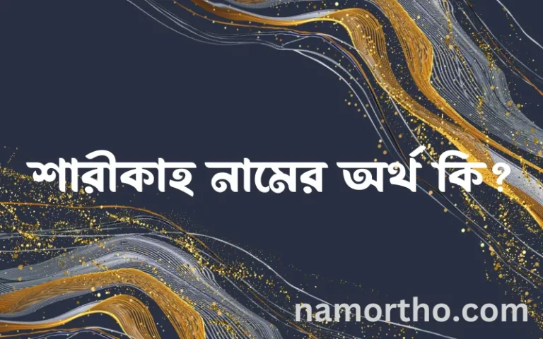 শারীকাহ নামের অর্থ কি? ইসলামিক আরবি বাংলা অর্থ এবং নামের তাৎপর্য