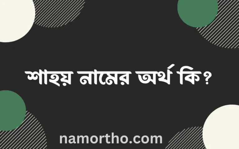 শাহয় নামের অর্থ কি এবং ইসলাম কি বলে? (বিস্তারিত)
