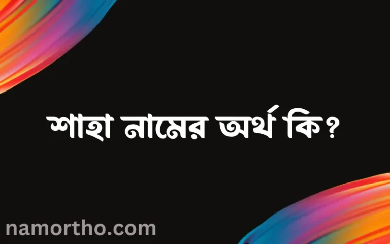 শাহা নামের অর্থ কি? (ব্যাখ্যা ও বিশ্লেষণ) জানুন