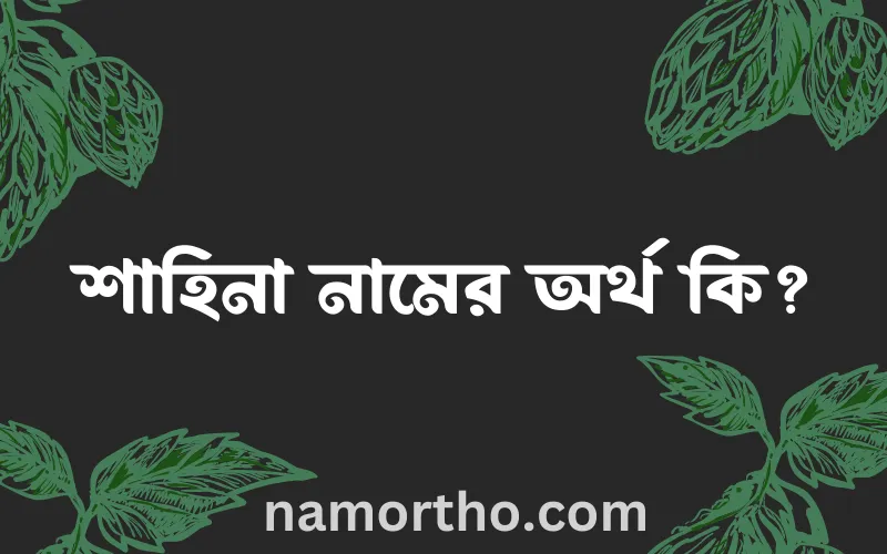 শাহিনা নামের আর্থ কি?