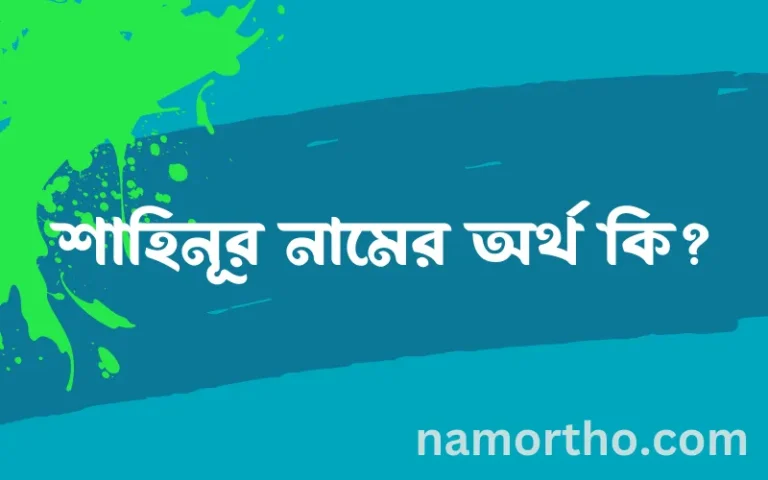 শাহিনূর নামের অর্থ কি? ইসলামিক আরবি বাংলা অর্থ এবং নামের তাৎপর্য