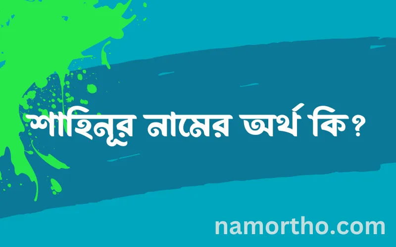 শাহিনূর নামের আর্থ কি?