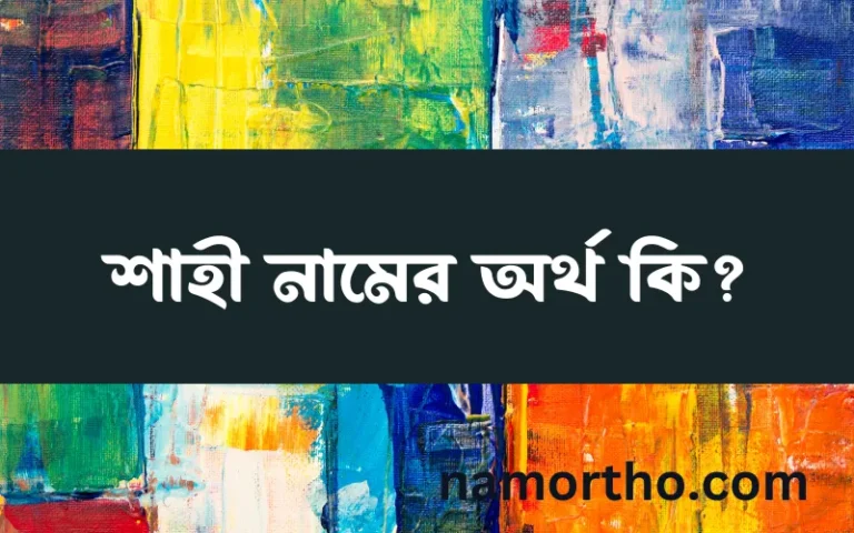 শাহী নামের অর্থ কি? ইসলামিক আরবি বাংলা অর্থ এবং নামের তাৎপর্য