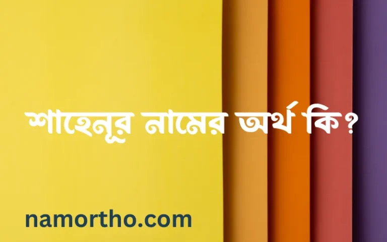 শাহেনূর নামের অর্থ কি? শাহেনূর নামের বাংলা, আরবি/ইসলামিক অর্থসমূহ