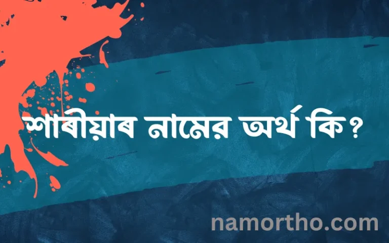 শাৰীয়াৰ নামের অর্থ কি? শাৰীয়াৰ নামের বাংলা, আরবি/ইসলামিক অর্থসমূহ