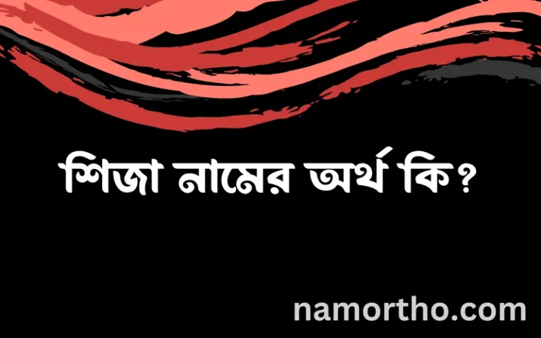 শিজা নামের অর্থ কি? শিজা নামের বাংলা, আরবি/ইসলামিক অর্থসমূহ