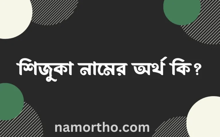 শিজুকা নামের অর্থ কি, বাংলা ইসলামিক এবং আরবি অর্থ?