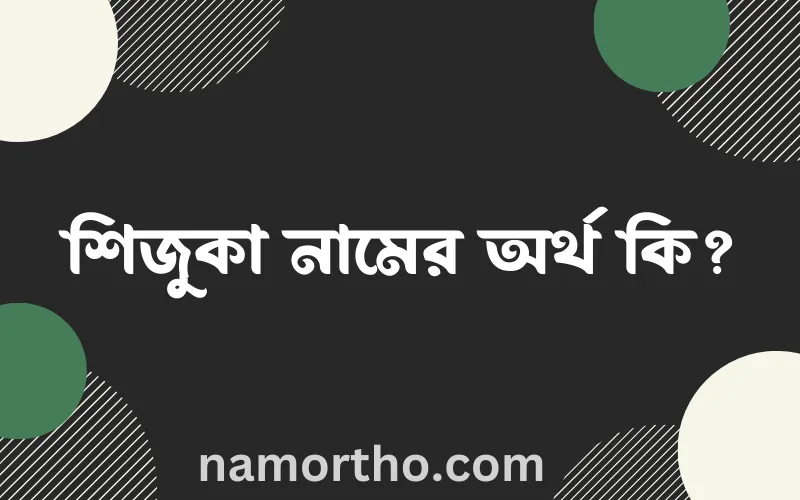 শিজুকা নামের আর্থ কি?