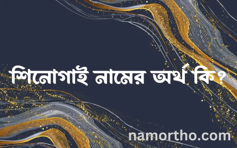 শিনোগাই নামের অর্থ কি এবং ইসলাম কি বলে? (বিস্তারিত)
