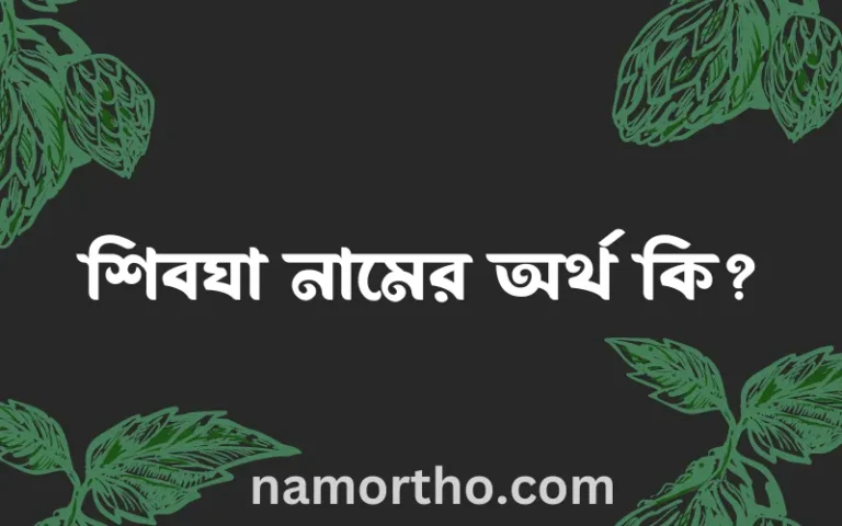 শিবঘা নামের অর্থ কি? ইসলামিক আরবি বাংলা অর্থ