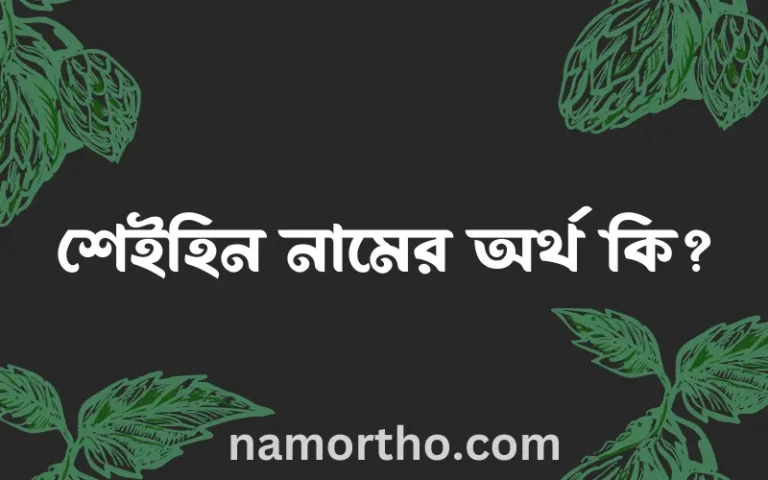 শেইহিন নামের অর্থ কি, ইসলামিক আরবি এবং বাংলা অর্থ জানুন
