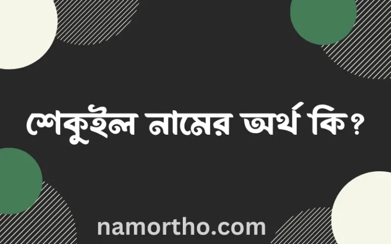 শেকুইল নামের অর্থ কি? শেকুইল নামের বাংলা, আরবি/ইসলামিক অর্থসমূহ