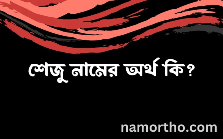 শেজু নামের অর্থ কি? ইসলামিক আরবি বাংলা অর্থ এবং নামের তাৎপর্য