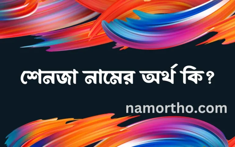 শেনজা নামের অর্থ কি? শেনজা নামের বাংলা, আরবি/ইসলামিক অর্থসমূহ