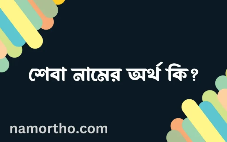 শেবা নামের অর্থ কি? ইসলামিক আরবি বাংলা অর্থ এবং নামের তাৎপর্য