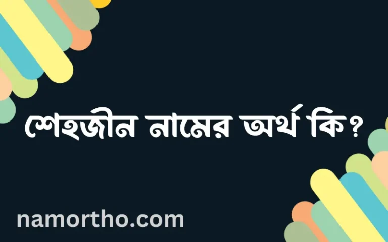 শেহজীন নামের অর্থ কি? ইসলামিক আরবি বাংলা অর্থ এবং নামের তাৎপর্য