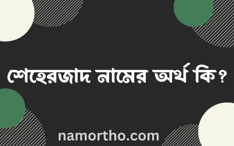 শেহেরজাদ নামের অর্থ কি? ইসলামিক আরবি বাংলা অর্থ এবং নামের তাৎপর্য