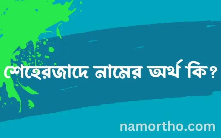 শেহেরজাদে নামের অর্থ কি? (ব্যাখ্যা ও বিশ্লেষণ) জানুন
