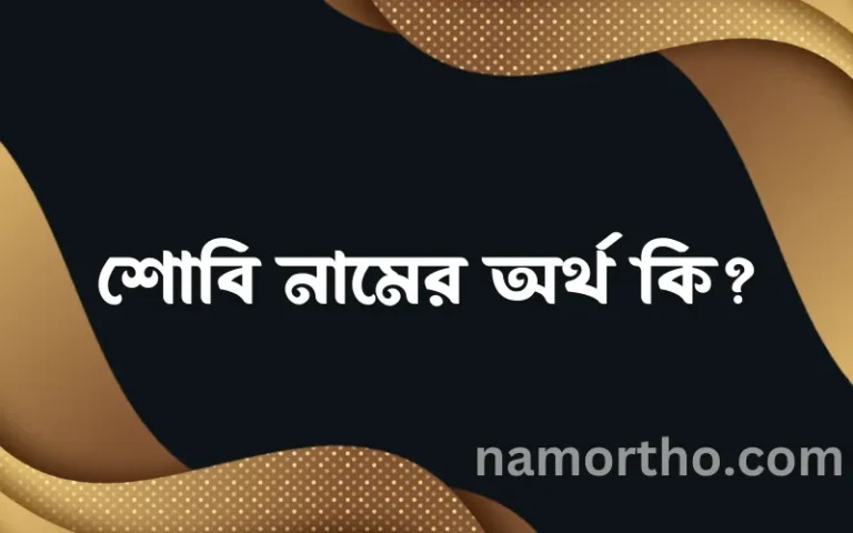 শোবি নামের অর্থ কি? (ব্যাখ্যা ও বিশ্লেষণ) জানুন