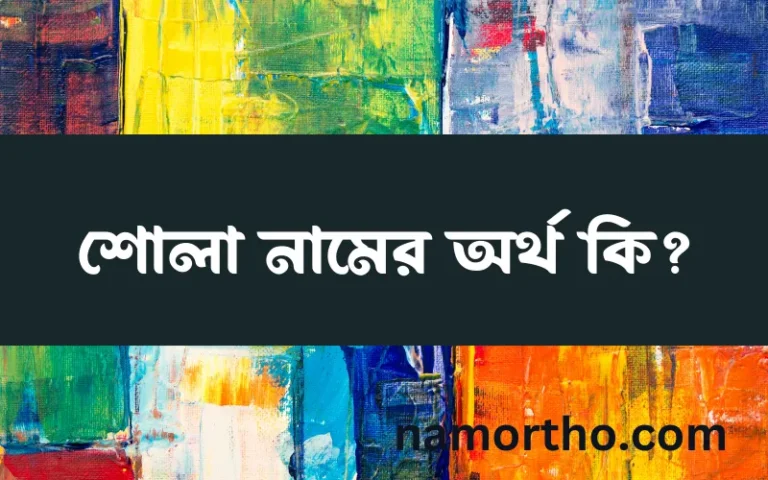 শোলা নামের অর্থ কি? (ব্যাখ্যা ও বিশ্লেষণ) জানুন