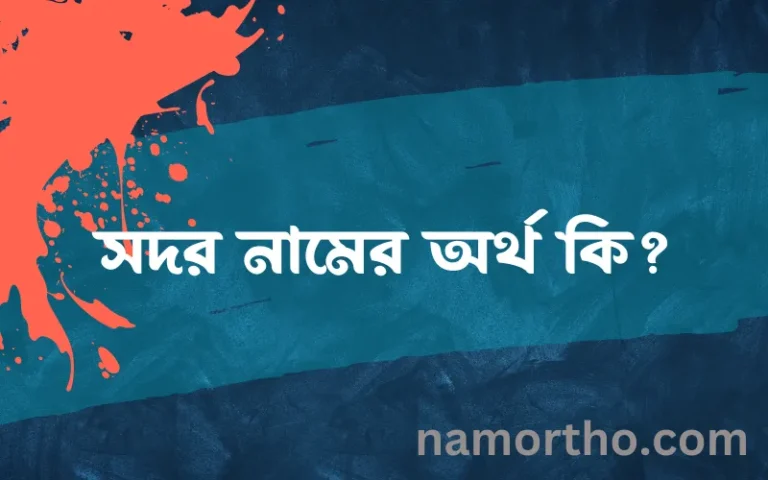 সদর নামের অর্থ কি? ইসলামিক আরবি বাংলা অর্থ এবং নামের তাৎপর্য