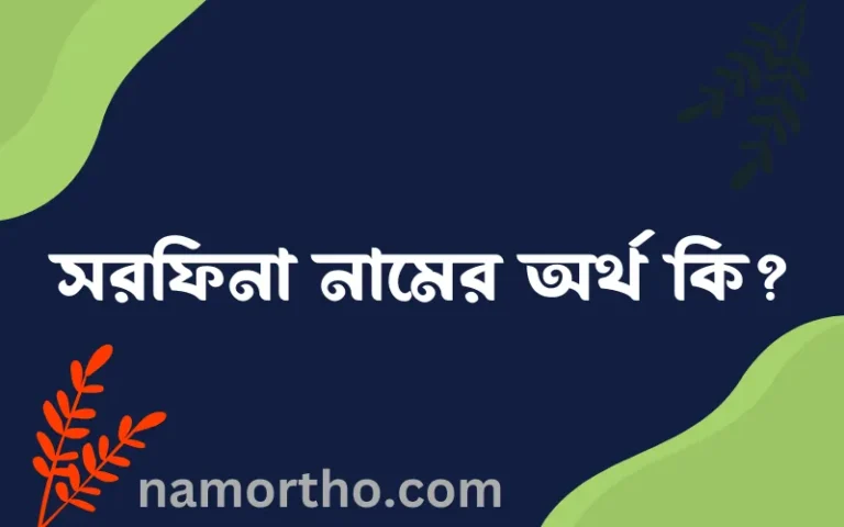 সরফিনা নামের অর্থ কি? ইসলামিক আরবি বাংলা অর্থ