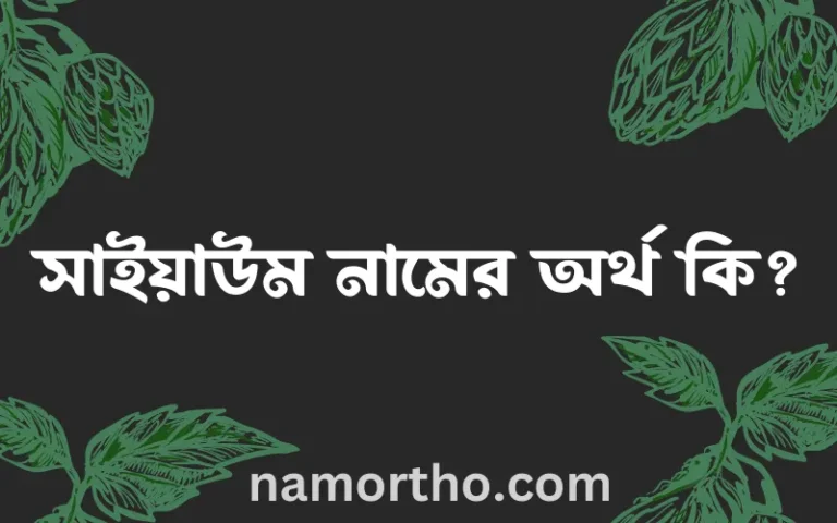 সাইয়াউম নামের অর্থ কি এবং ইসলাম কি বলে? (বিস্তারিত)