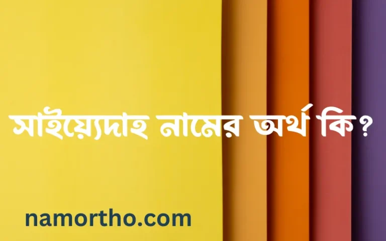 সাইয়্যেদাহ নামের অর্থ কি? (ব্যাখ্যা ও বিশ্লেষণ) জানুন