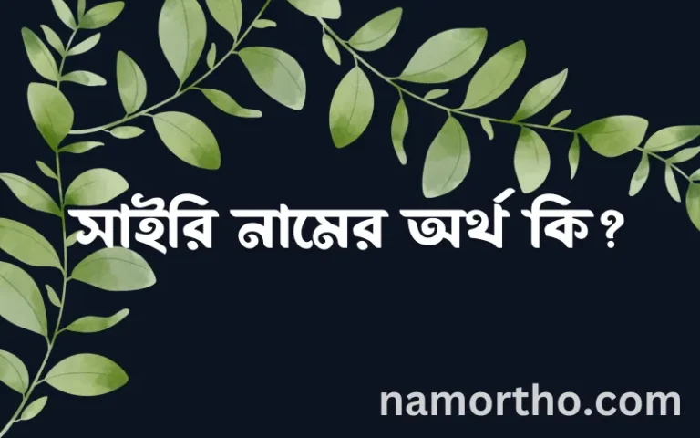 সাইরি নামের অর্থ কি? ইসলামিক আরবি বাংলা অর্থ এবং নামের তাৎপর্য