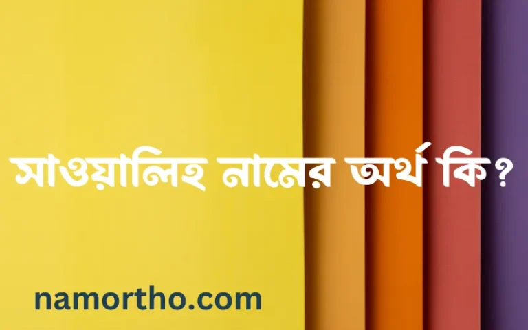 সাওয়ালিহ নামের বাংলা আরবি ইসলামিক অর্থ কি?