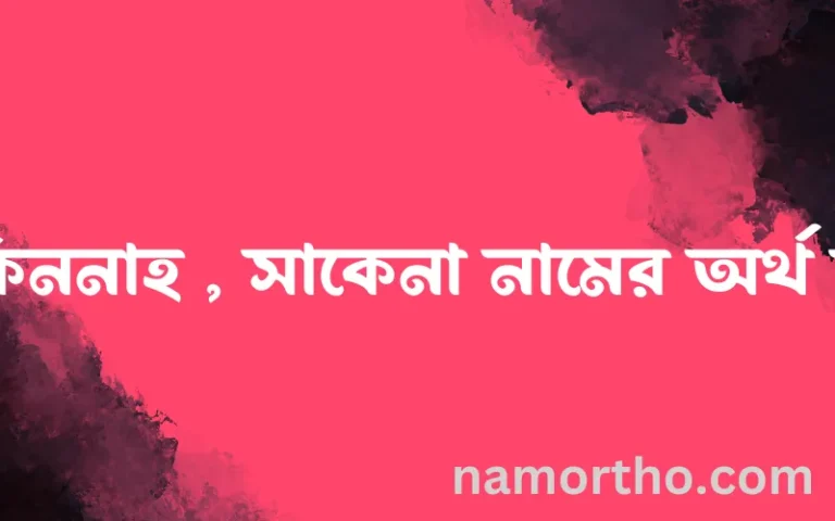 সাকিননাহ , সাকেনা নামের অর্থ কি, ইসলামিক আরবি এবং বাংলা অর্থ জানুন