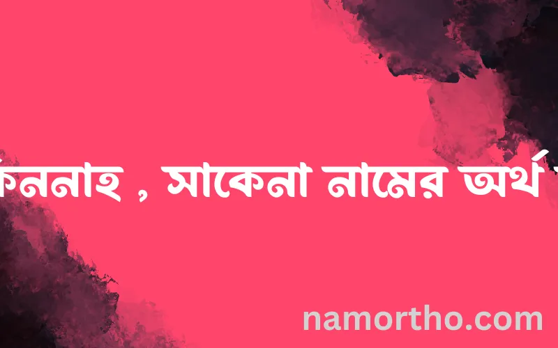 সাকিননাহ , সাকেনা নামের আর্থ কি?