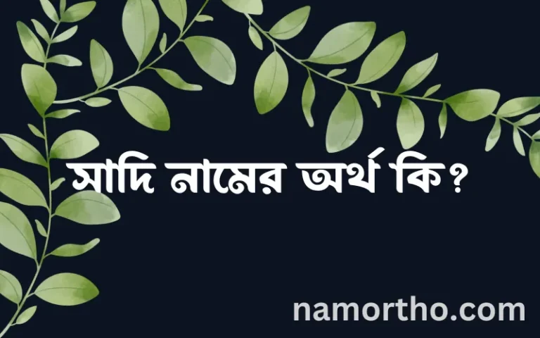 সাদি নামের অর্থ কি? সাদি নামের বাংলা, আরবি/ইসলামিক অর্থসমূহ