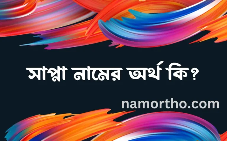 সাপ্না নামের অর্থ কি? সাপ্না নামের ইসলামিক অর্থ এবং বিস্তারিত তথ্য সমূহ