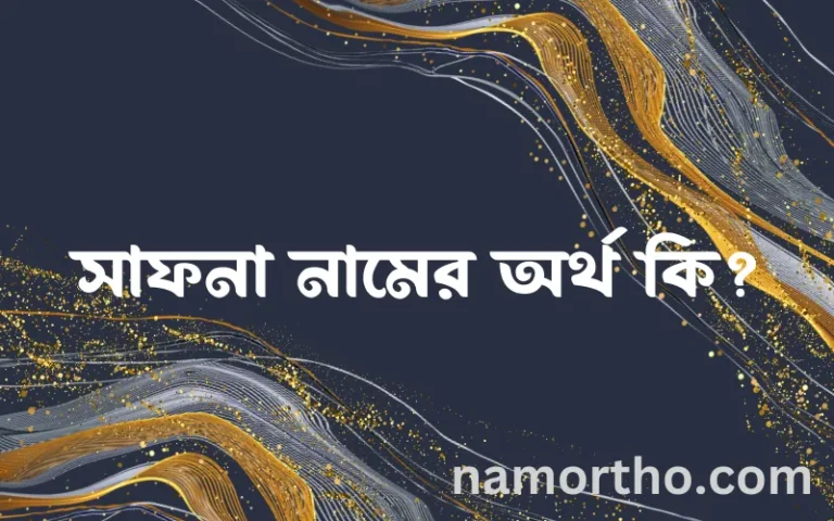 সাফনা নামের অর্থ কি? সাফনা নামের বাংলা, আরবি/ইসলামিক অর্থসমূহ