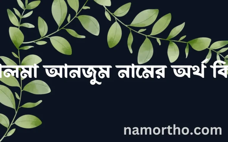 সালমা আনজুম নামের অর্থ কি, বাংলা ইসলামিক এবং আরবি অর্থ?