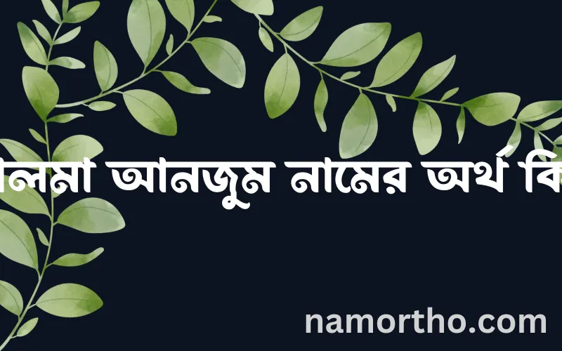 সালমা আনজুম নামের আর্থ কি?