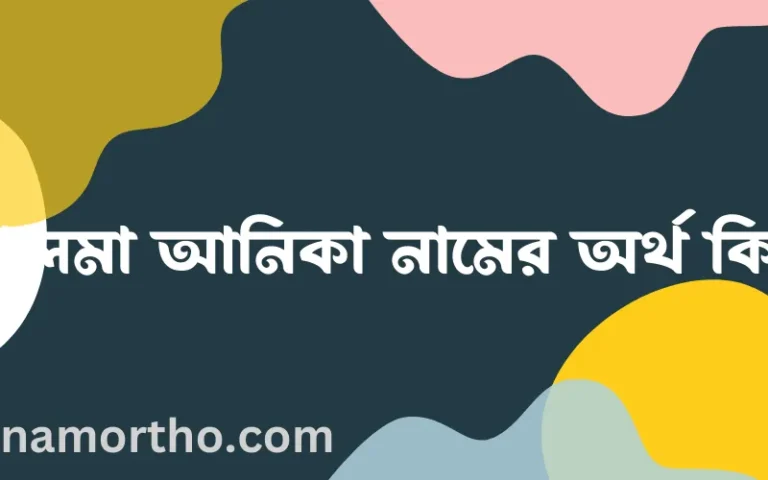 সালমা আনিকা নামের অর্থ কি, ইসলামিক আরবি এবং বাংলা অর্থ জানুন