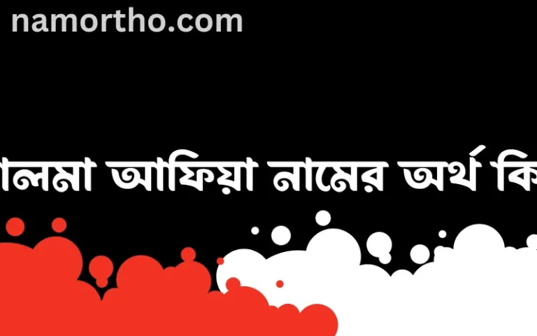 সালমা আফিয়া নামের অর্থ কি, ইসলামিক আরবি এবং বাংলা অর্থ জানুন