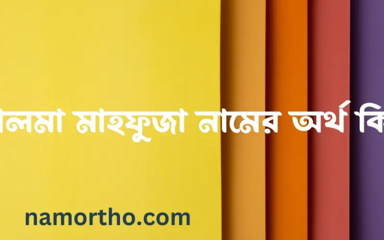 সালমা মাহফুজা নামের অর্থ কি? সালমা মাহফুজা নামের বাংলা, আরবি/ইসলামিক অর্থসমূহ