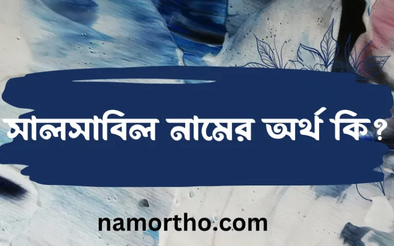 সালসাবিল নামের অর্থ কি? ইসলামিক আরবি বাংলা অর্থ এবং নামের তাৎপর্য