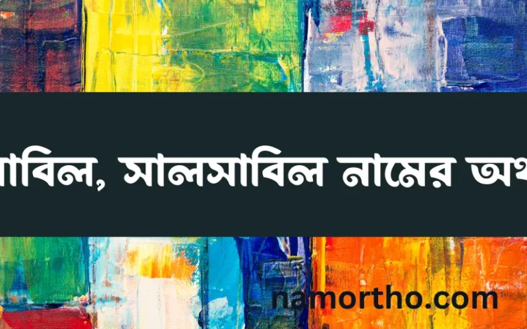 সালসাবিল, সালসাবিল নামের অর্থ কি এবং ইসলাম কি বলে? (বিস্তারিত)